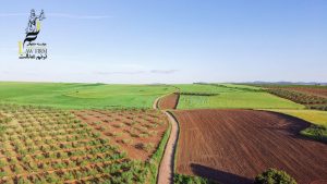 اسباب تملک در قانون