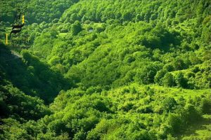 معنای انفال