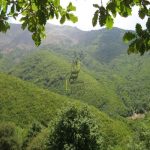 معنای انفال
